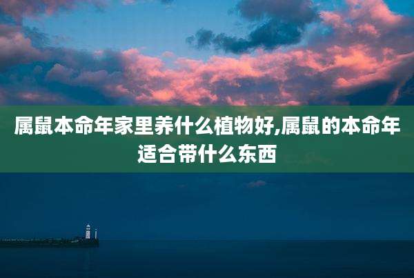 属鼠本命年家里养什么植物好,属鼠的本命年适合带什么东西