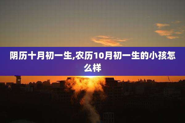 阴历十月初一生,农历10月初一生的小孩怎么样