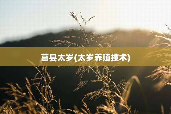 莒县太岁(太岁养殖技术)