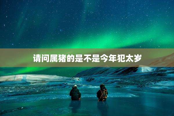 请问属猪的是不是今年犯太岁