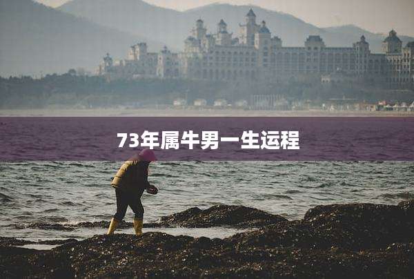 73年属牛男一生运程