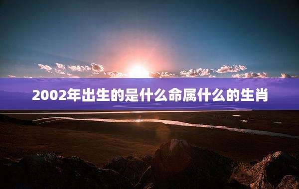 2002年出生的是什么命属什么的生肖