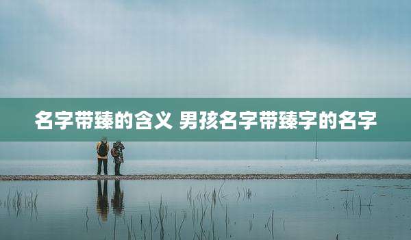 名字带臻的含义 男孩名字带臻字的名字