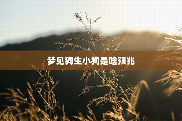 梦见狗生小狗是啥预兆