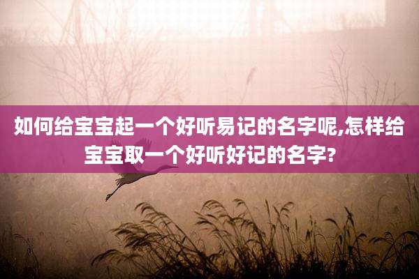 如何给宝宝起一个好听易记的名字呢,怎样给宝宝取一个好听好记的名字?