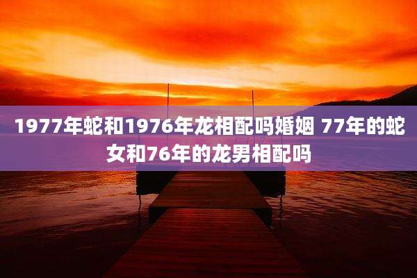 1977年蛇和1976年龙相配吗婚姻 77年的蛇女和76年的龙男相配吗