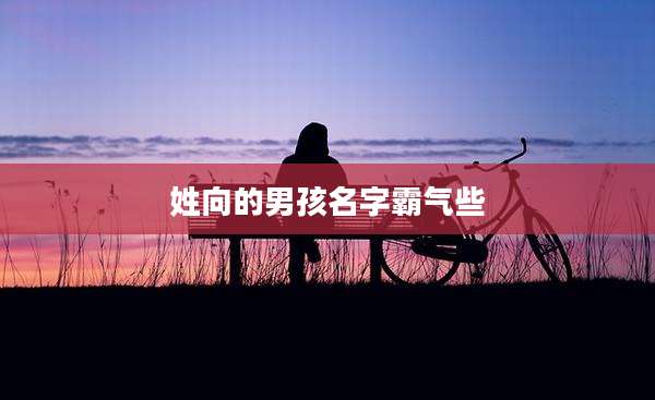 姓向的男孩名字霸气些