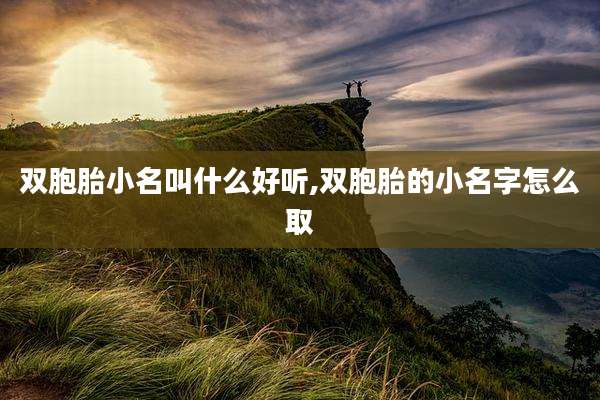双胞胎小名叫什么好听,双胞胎的小名字怎么取
