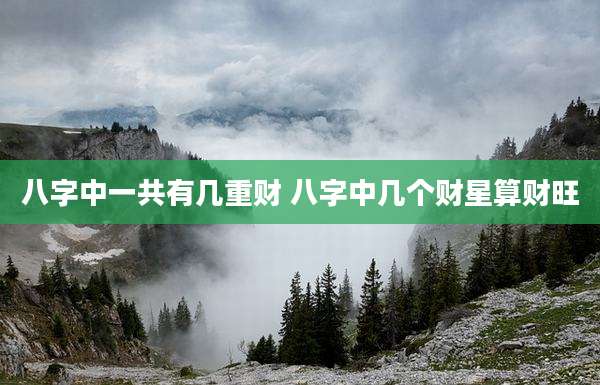八字中一共有几重财 八字中几个财星算财旺