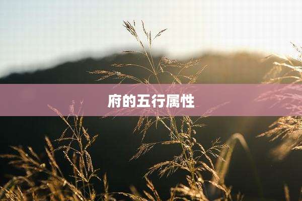 府的五行属性