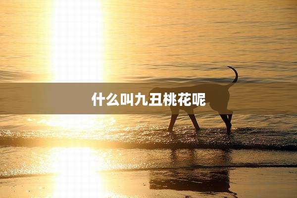 什么叫九丑桃花呢