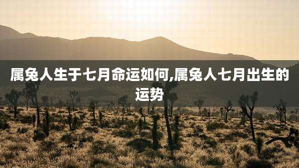 属兔人生于七月命运如何,属兔人七月出生的运势