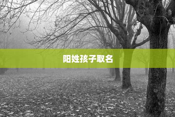 阳姓孩子取名
