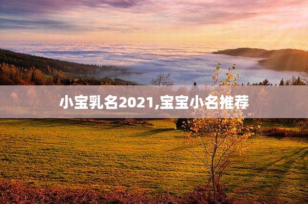 小宝乳名2021,宝宝小名推荐