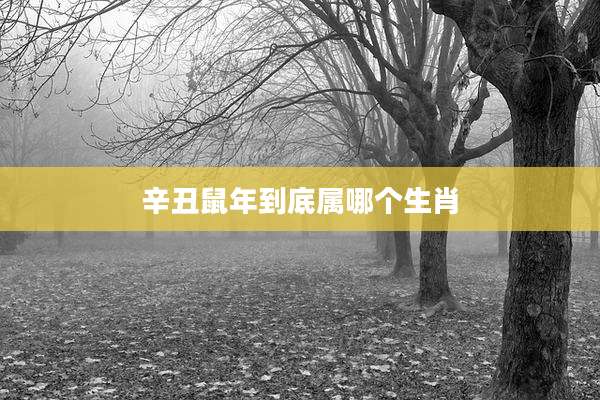 辛丑鼠年到底属哪个生肖