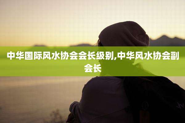 中华国际风水协会会长级别,中华风水协会副会长