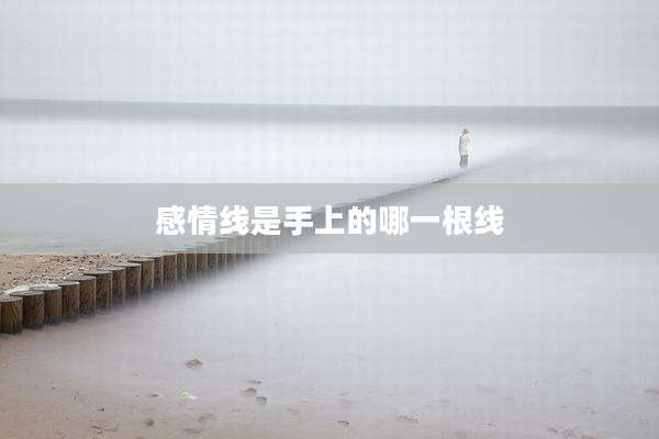 感情线是手上的哪一根线