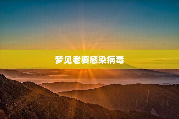 梦见老婆感染病毒