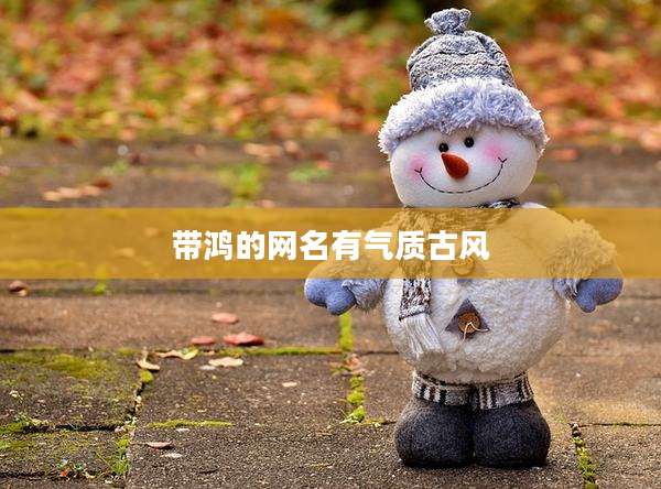 带鸿的网名有气质古风