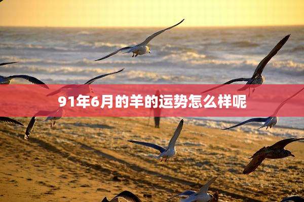 91年6月的羊的运势怎么样呢