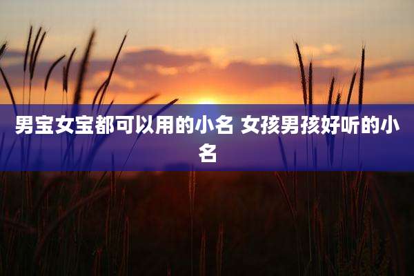 男宝女宝都可以用的小名 女孩男孩好听的小名