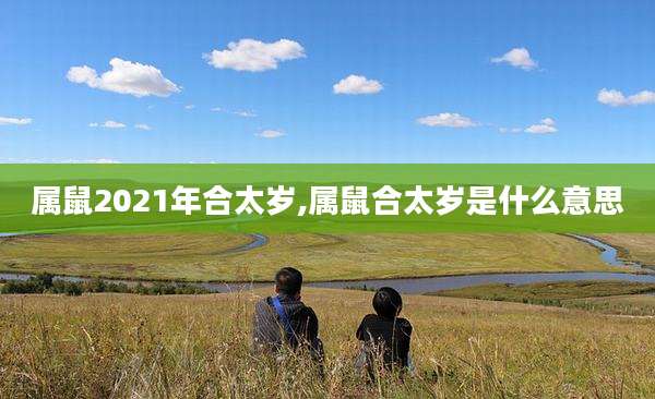 属鼠2021年合太岁,属鼠合太岁是什么意思