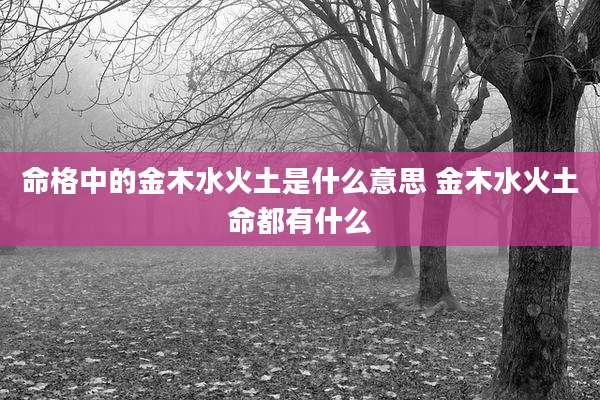 命格中的金木水火土是什么意思 金木水火土命都有什么