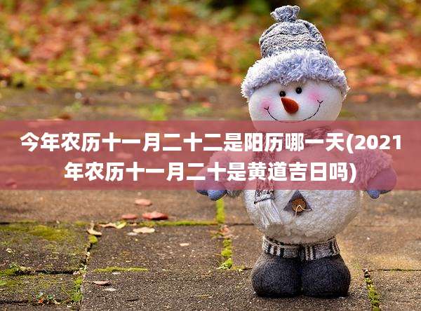 今年农历十一月二十二是阳历哪一天(2021年农历十一月二十是黄道吉日吗)