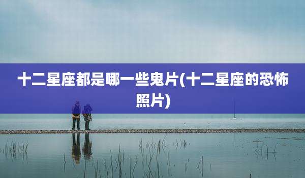 十二星座都是哪一些鬼片(十二星座的恐怖照片)