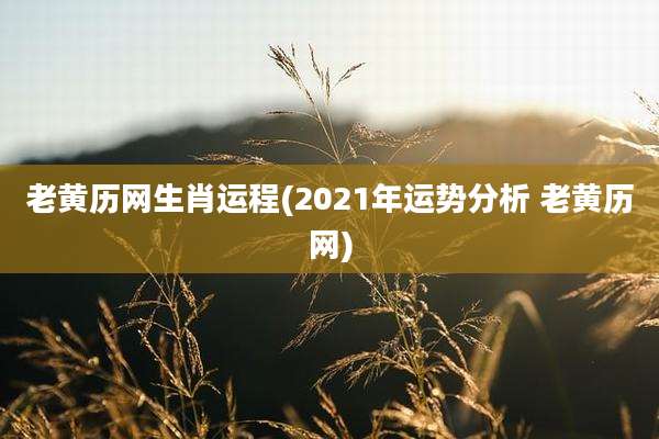 老黄历网生肖运程(2021年运势分析 老黄历网)