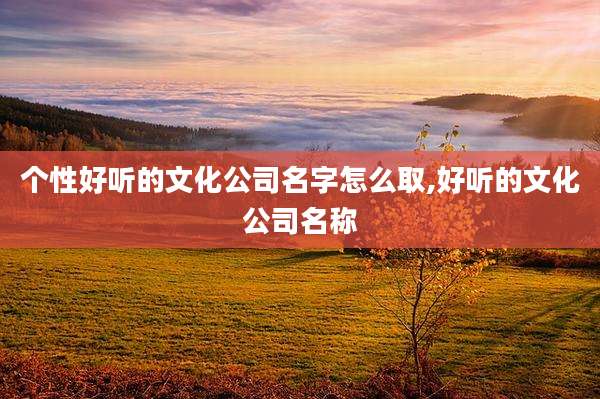 个性好听的文化公司名字怎么取,好听的文化公司名称