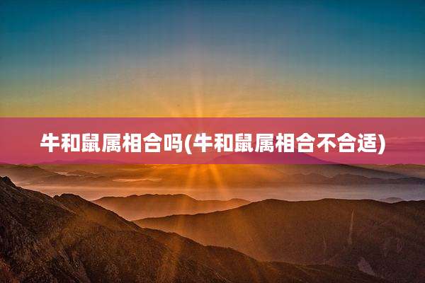 牛和鼠属相合吗(牛和鼠属相合不合适)
