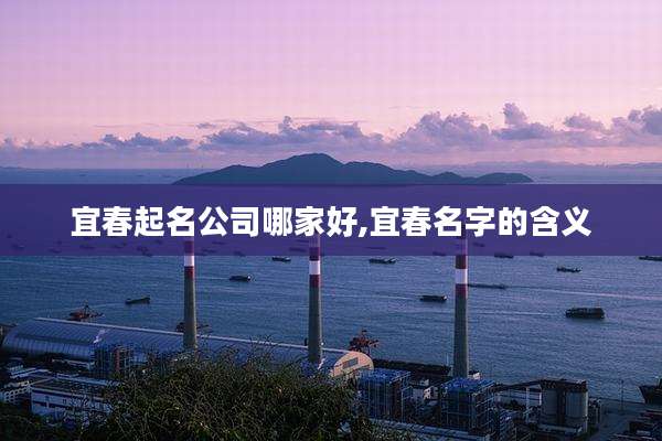 宜春起名公司哪家好,宜春名字的含义