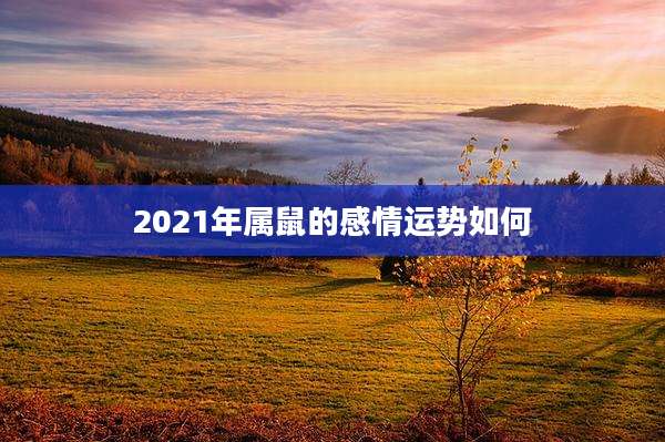 2021年属鼠的感情运势如何