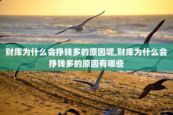 财库为什么会挣钱多的原因呢,财库为什么会挣钱多的原因有哪些