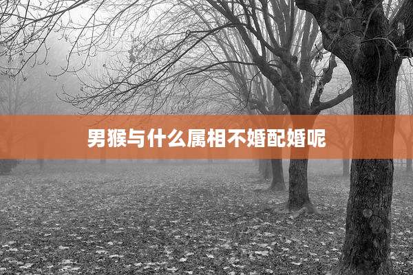 男猴与什么属相不婚配婚呢