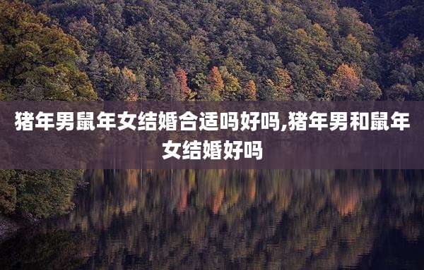 猪年男鼠年女结婚合适吗好吗,猪年男和鼠年女结婚好吗