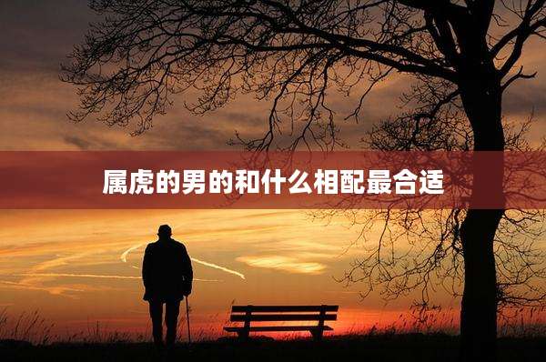 属虎的男的和什么相配最合适
