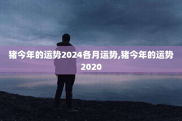 猪今年的运势2024各月运势,猪今年的运势2020