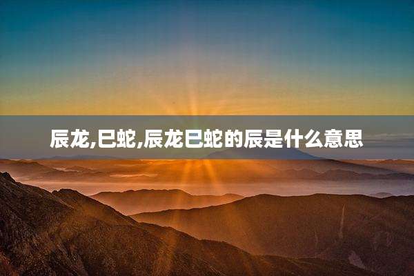 辰龙,巳蛇,辰龙巳蛇的辰是什么意思