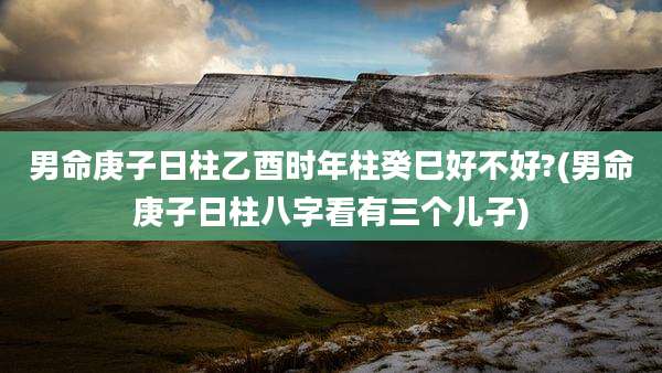男命庚子日柱乙酉时年柱癸巳好不好?(男命庚子日柱八字看有三个儿子)