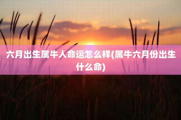 六月出生属牛人命运怎么样(属牛六月份出生什么命)