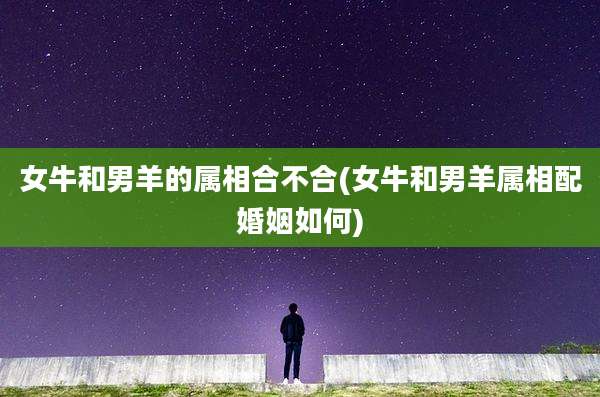 女牛和男羊的属相合不合(女牛和男羊属相配婚姻如何)