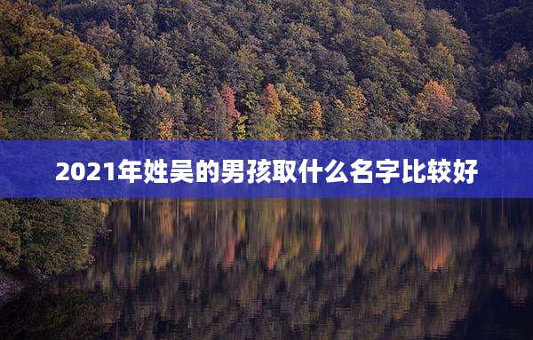 2021年姓吴的男孩取什么名字比较好