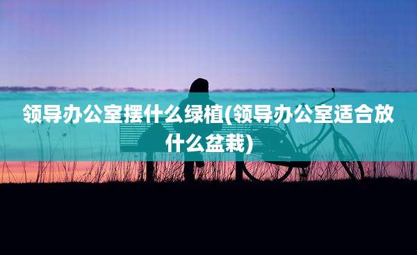 领导办公室摆什么绿植(领导办公室适合放什么盆栽)
