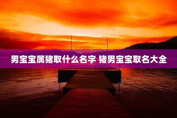 男宝宝属猪取什么名字 猪男宝宝取名大全
