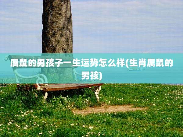 属鼠的男孩子一生运势怎么样(生肖属鼠的男孩)