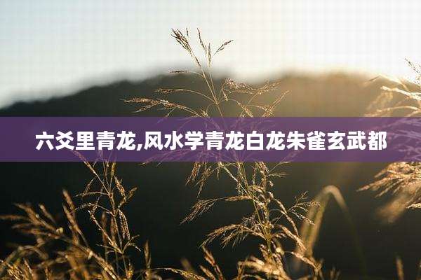 六爻里青龙,风水学青龙白龙朱雀玄武都