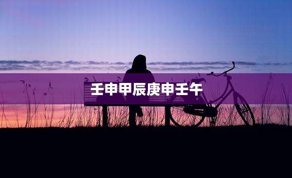 壬申甲辰庚申壬午
