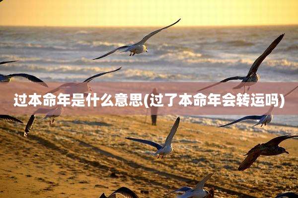 过本命年是什么意思(过了本命年会转运吗)